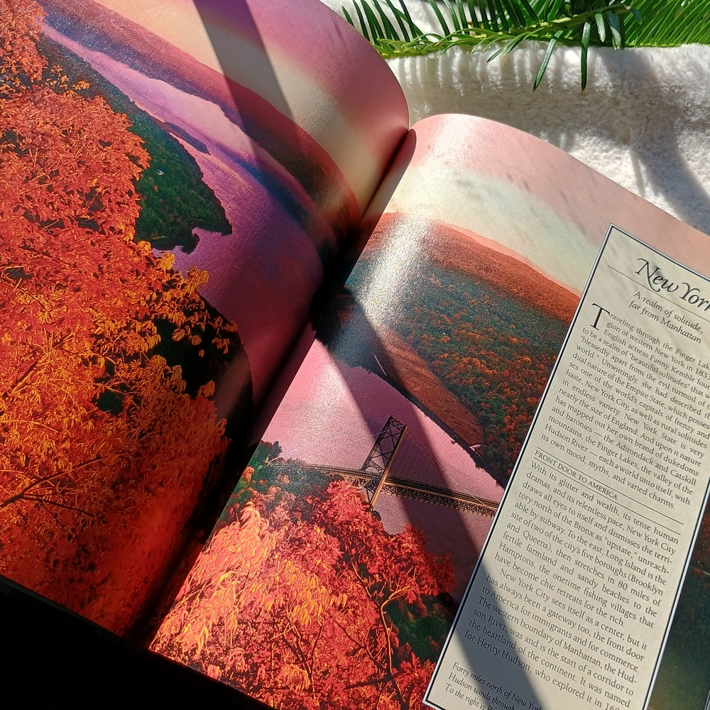 Coffee Table Copy Of America Land Of Beauty And Splendor, MCM Decor - Picture 4 of 9